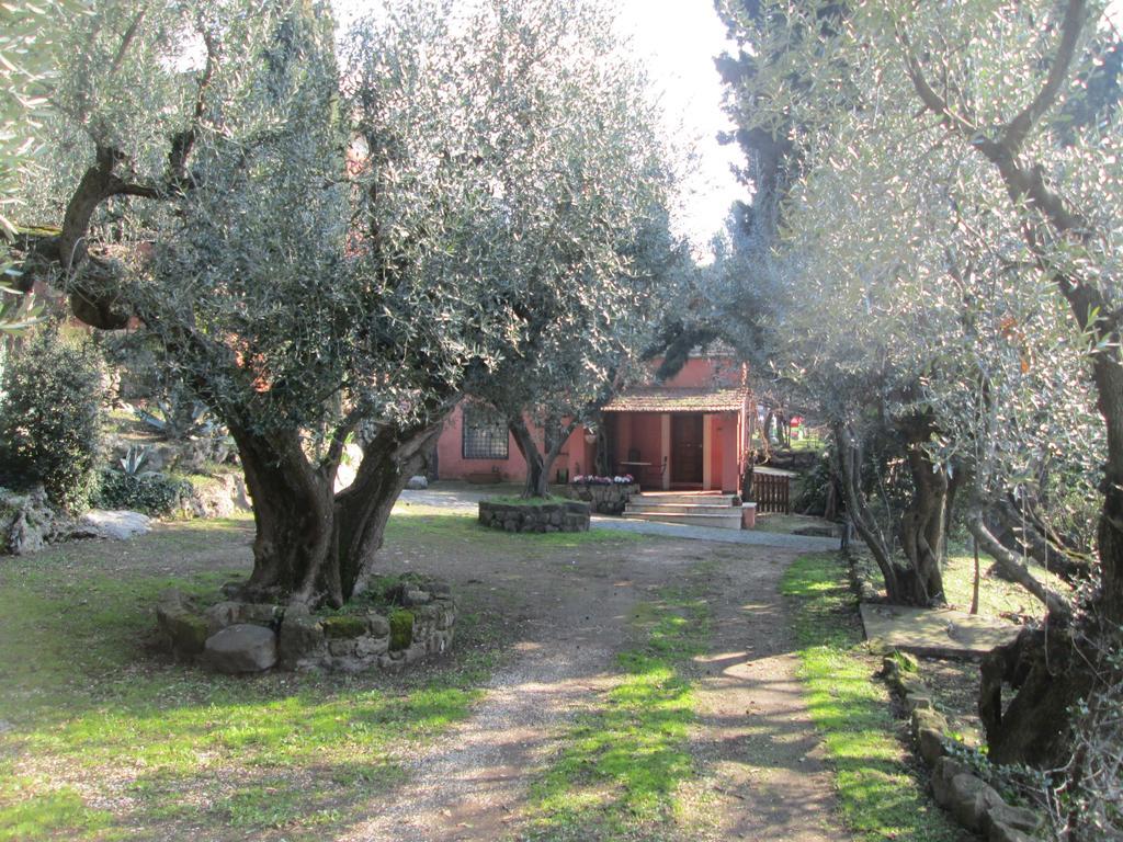 La Dolce Casetta Grottaferrata Exterior foto